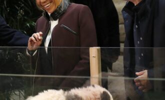 Baby Panda tries to take a bite out of France’s First Lady