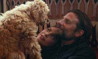 Bradley Cooper Honoured by PETA for Casting His Dog Charlie in A Star is Born