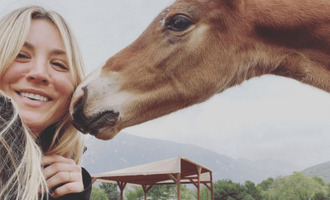 Kaley Cuoco Bids to Adopt The Horse Punched at the Olympics