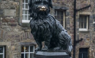The Story of Greyfriars Bobby, the dog that stayed by his owner’s grave for 14 years