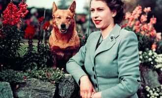 Guess who gets Queen Elizabeth II’s royal corgis? Hint: It’s not King Charles III!