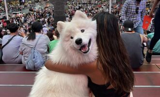 Boomer The Landcloud is One of the Most Recognizable Dogs of the Decade