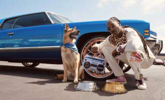 Snoop Dogg finally launches a pet accessories brand: Snoop Doggie Doggs