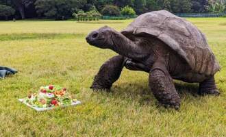 Happy 190th birthday to Jonathan the Tortoise – The world’s oldest land animal