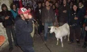 The story of Biquette the punk rock goat
