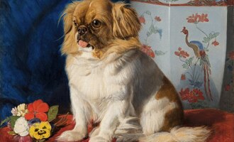 The Painting of Looty: A Tribute to Queen Victoria’s Beloved Companion
