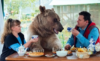 Stepan the House Bear: From Rescue to World-Famous Model