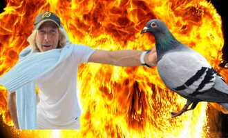 Michael Bay charged with killing a pigeon but denies the allegation