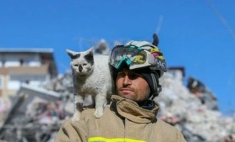 Turkish Firefighter Ali Cakas Saves a Cat Who Now Refuses to Leave His Side