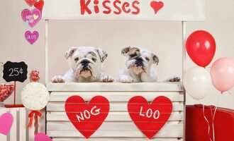 Two Wrinkles, Two Homes: Eggnog and Igloo’s Custom Abodes
