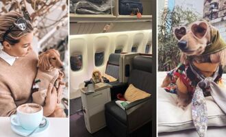 Fifi Little Darling is a Jet-Setting Dachshund Spreading Joy Around the World!