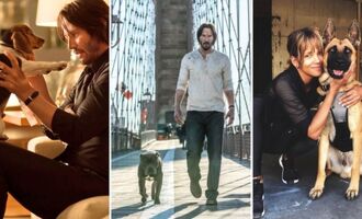 Dogs of John Wick: The Definitive Guide to the Dogs of the Films and Cast