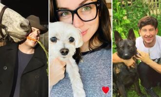 Oscars 2023: Meet the Nominees’ Celebrity Pets!