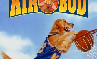 The History of “Air Bud” and Buddy the Basketball-Playing Golden Retriever
