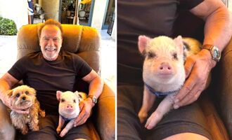 Arnold Schwarzenegger Adds a Pet Pig to His Personal Petting Zoo