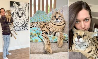 Interview with Chloe the Serval – The Story of a Huge House Cat with a Personality to Match