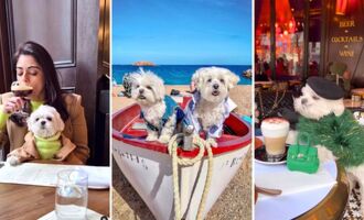 Maltese Brothers Dior and Obi-Wan are Peak “Summering in Europe” Goals (@the_doggie_days)