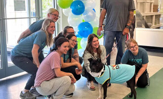 Ginny the Pup Gets A Celebratory Bash After Waiting 1,000 Days to Be Adopted