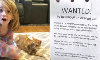 Mom’s Poster Looking to Borrow a Garfield Lookalike Cat for Her Daughter’s Birthday Goes Viral