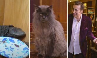 Nicolas Cage Gives the First Public Look at His Exotic Pets on “60 Minutes”