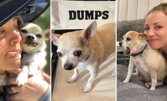 Dump Truck, Kaley Cuoco’s Beloved Rescue Dog, Has Passed Away