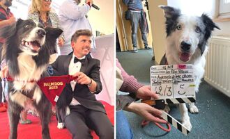 Palm Dog Awards 2023: Meet Messi, the Canine Actor Who Won at the Cannes Film Festival