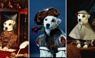The History of Soccer, the Dog Actor That Played Wishbone