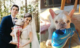 Goodbye Petunia: Anna Marie Tendler Shares Tribute to Her and John Mulaney’s Late Dog