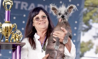 Meet Scooter the Chinese Crested – Winner of the 2023 World’s Ugliest Dog Contest!