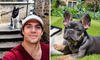 Henry Cavill Gets New French Bulldog Named Baggins, After the Loss of His 14-Year-Old Frenchie