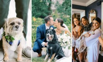 Interview With Bow Wow Weddings – The Canine Concierge for Your Big Day