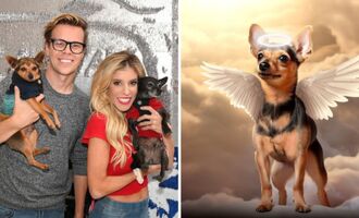 Youtubers Rebecca Zamolo and Matt Slays Mourn the Loss of Their Dog Peanut