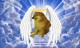 Cheems Balltze, the Shiba Inu and Viral Meme Doge, Passed Away During Surgery