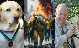 9/11 Hero: Roselle the Guide Dog Who Saved Her Blind Owner and Many Others From the Collapsing Twin Towers on September 11th