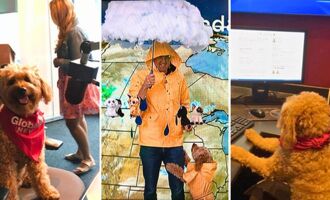 Storm the Weather Dog Has Worked In Meteorology for Over a Decade