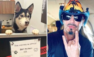Rockstar Bret Michaels Adopts a Heroic Husky Also Named Bret Michaels