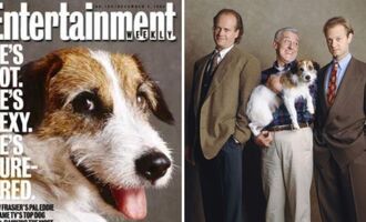 The Story of Moose, the Rescue Dog Who Played Eddie on “Frasier” – From Abandoned to Millionaire and Fan Favorite