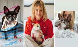Kaley Cuoco and Tom Pelphrey Adopt Their 7th Rescue Dog With a Chihuahua Named Red