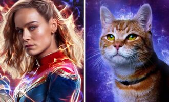Meet Tango, the Feline Actor Who Plays Goose the Cat in ‘The Marvels’ Movie