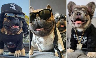 Papa Bear N Lil Mac Are Living the Gangster Frenchie Life