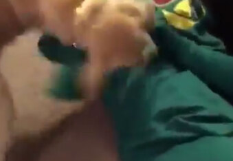 Cute Dog Flips Out When He Learns His Favorite Toy, Gumby, Is Real