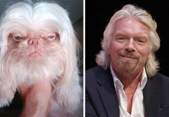 Celebrity Stunt Double Look-a-Likes If They Were Pets