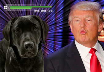 Donald Trump - First president without a dog in over 100 years, SAD!