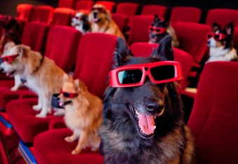 5 Movies with The Cutest Pets You Forgot About