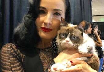 Grumpy Cat, 2012 Internet Sensation, Rumored to Have a $100 Million Dollar Net Worth