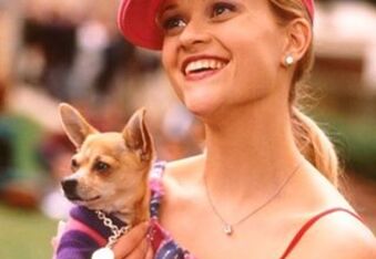 Bruiser Woods the Chihuahua from ‘Legally Blonde’ Passed Away in a Post by Reese Witherspoon