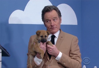 Bryan Cranston is a Liar (but only to get rescue dogs adopted)