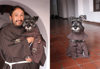 Friar Moustache, Stray Dog to Adopted Monk by a Bolivian Monastery
