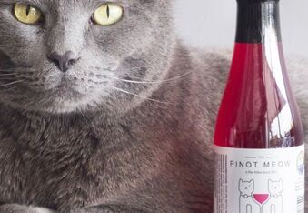Cat Wine is a Thing Now and Your Cat Demands It