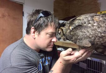 Owl remembers man who saved her life, gives him a big hug
